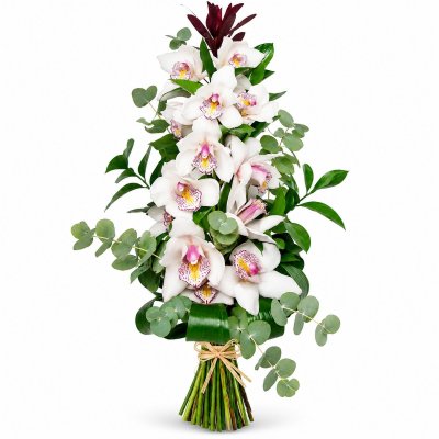 Queen Orchid