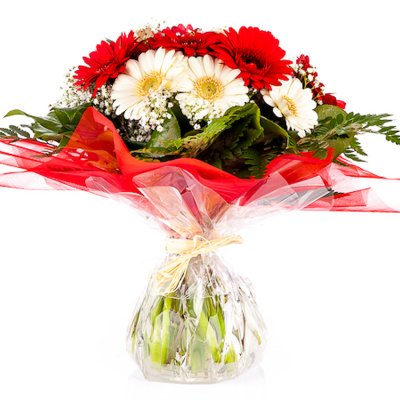 Kiełki w opakowaniu z wodą