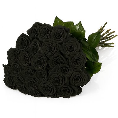 Black Roses (kawałek)