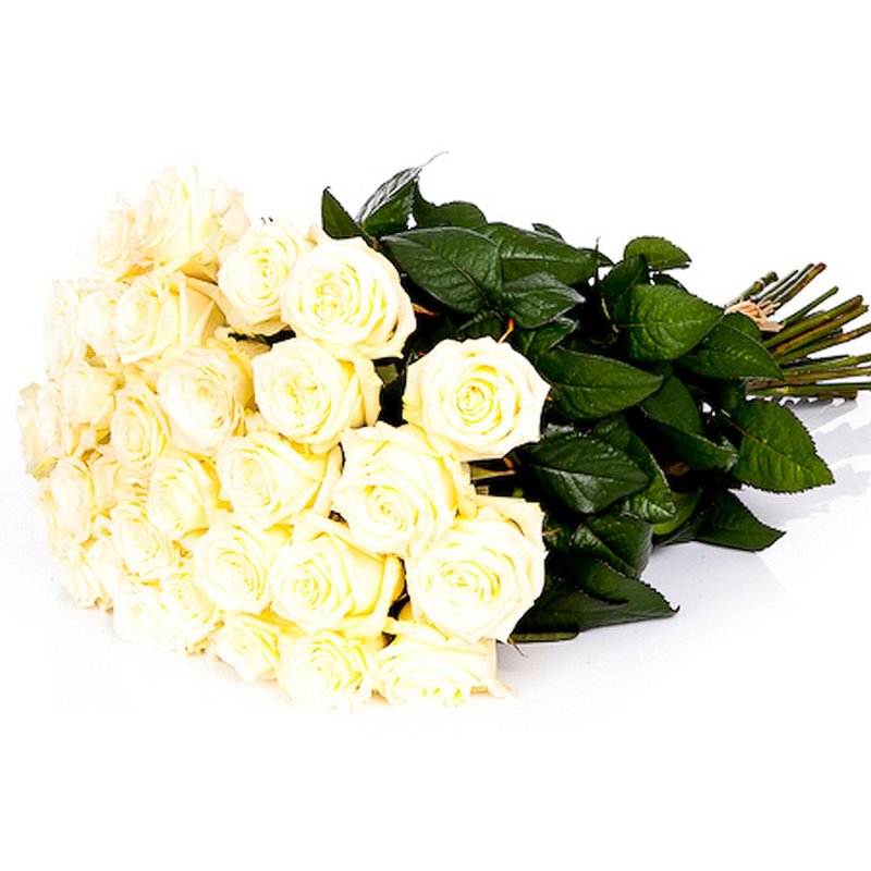 Numer personalizowany White Roses