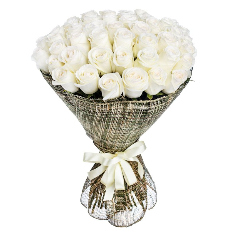 50 White Roses