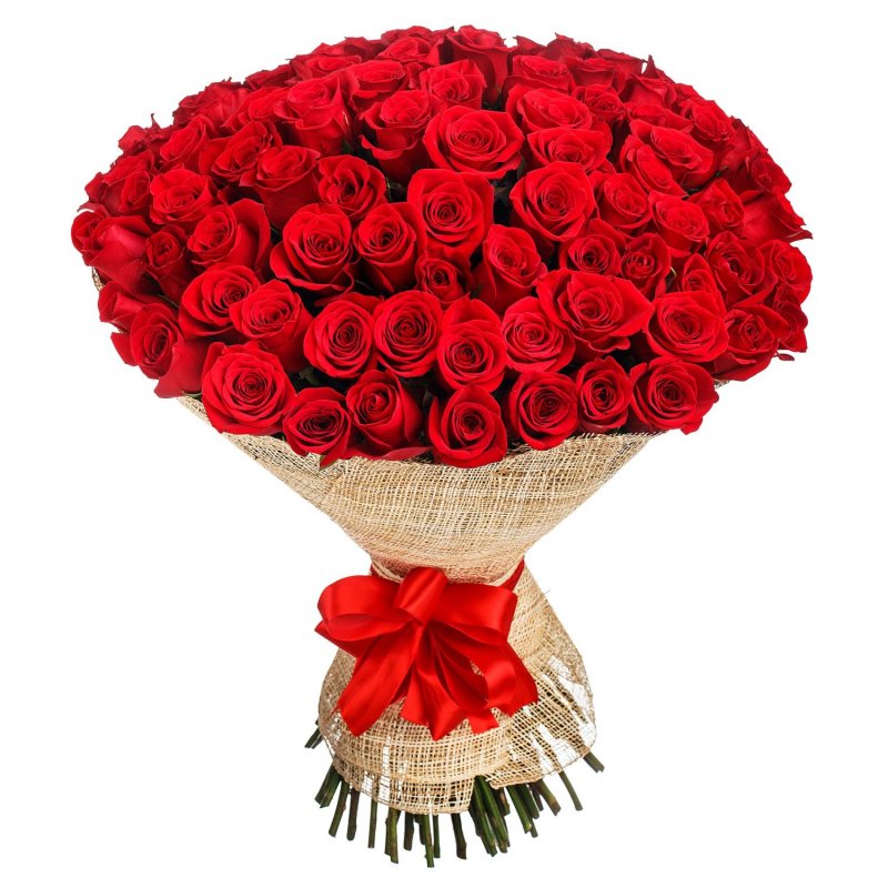 100 Red Roses