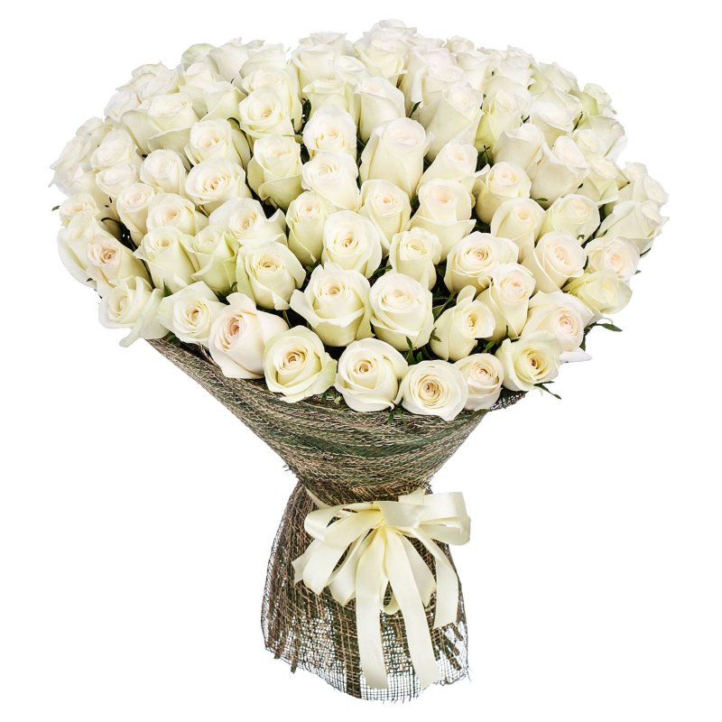 100 White Roses